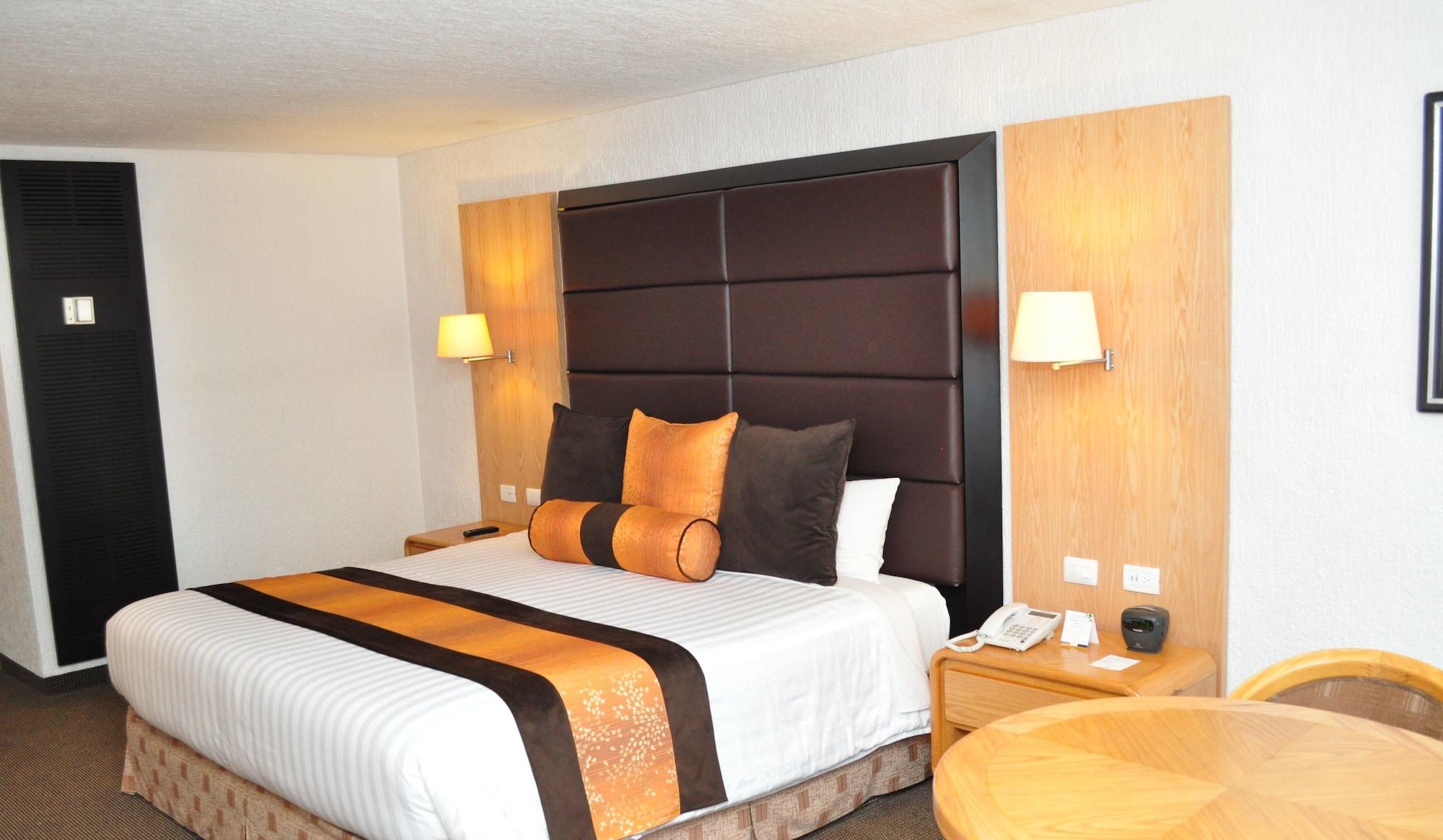 Hotel Royal Pedregal Meksyk Zewnętrze zdjęcie