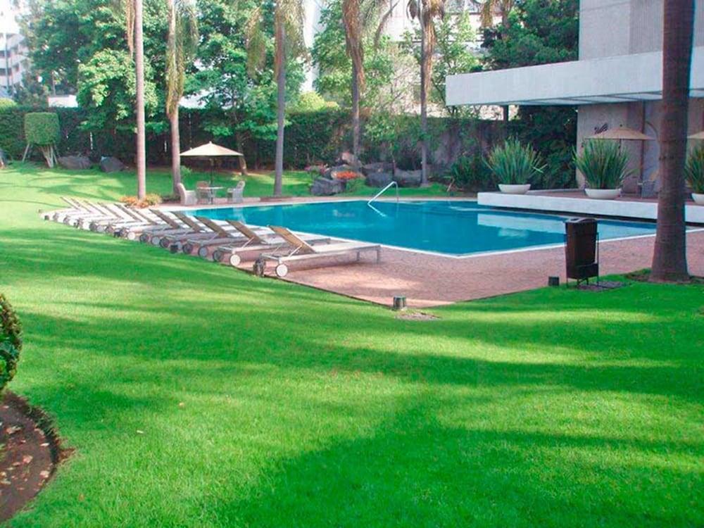 Hotel Royal Pedregal Meksyk Zewnętrze zdjęcie The swimming pool at the hotel